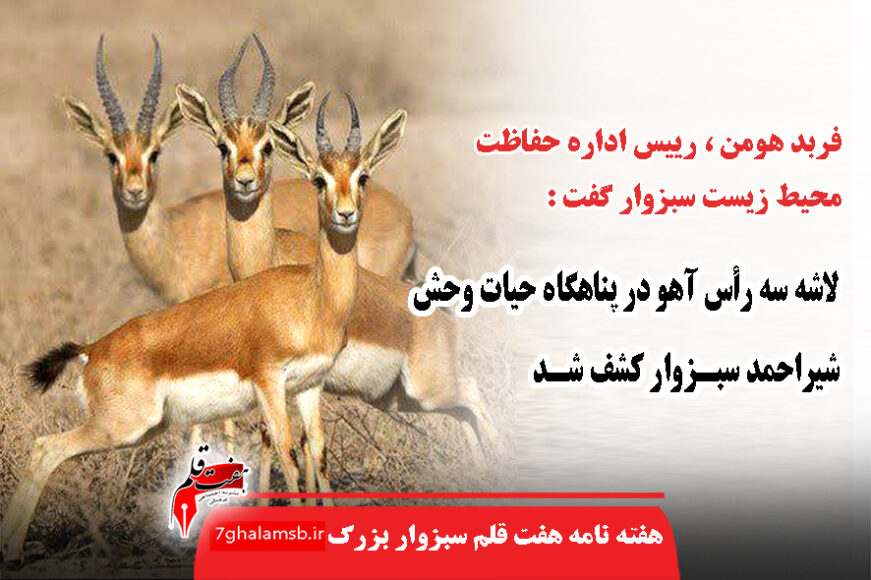 جواد باشتنی