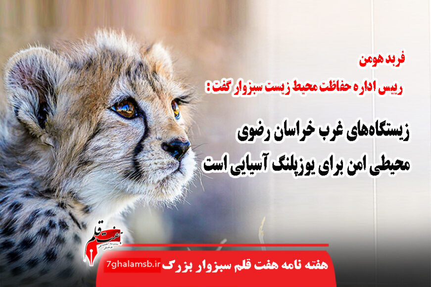 جواد باشتنی